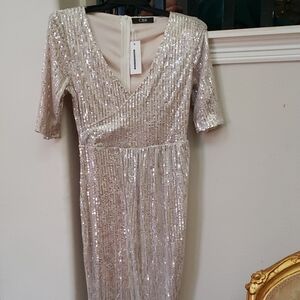 CBR Shimmering Sequin Dress in Champagne Silver Long